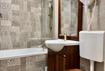 Apartament cu 2 camere semidecomandat, mobilat în Doamna Ghica - 14