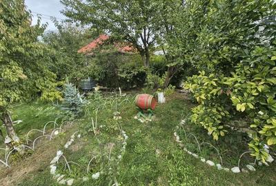 Vila 4 camere + teren 818 mp central Provita de Sus (lângă școală) - 55