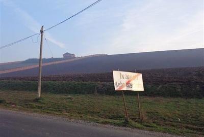 Teren de 29300 mp, în Livezeni - 2