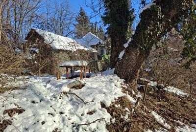 Spațiu comercial, în Dămieni