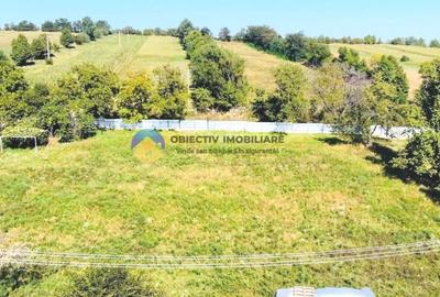 Teren agricol intravilan de 3260 mp, în Chintinici - 4