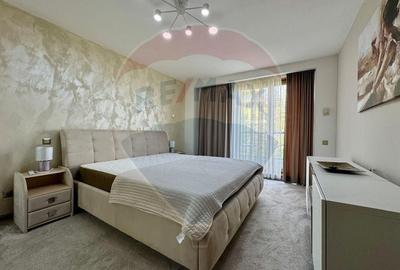 Apartament cu 3 camere decomandat, mobilat în Drumul Poienii - 8