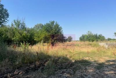 Teren Clinceni- Ordoreanu- langa Dig. - 3