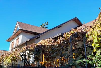 Vilă unică în Centrul Sucevei - 16