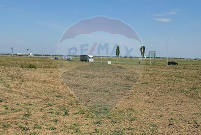 Teren de 10164 mp, în Vadu Anei - 1