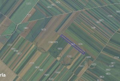 Teren de 18318 mp, în Ștefan cel Mare - 4