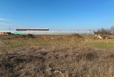 Vand teren Dobreni - Giurgiu - iesire din comuna Berceni