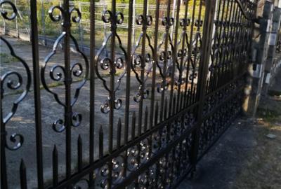 Casă cu 7 camere cu Teren 1621 Mp în Central - 2