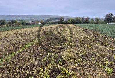 Teren intravilan de vanzare | 3.084mp | Plavia - Urlati | Comision 0% - 2