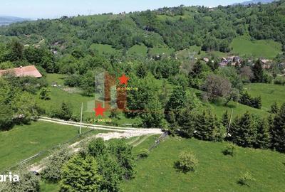 Teren de 1000 mp, în Bran - 3