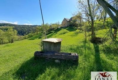 Casa de vanzare cu 46774 mp teren in zona Vintu - 2