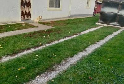 Casă cu 4 camere în Sâi - 6