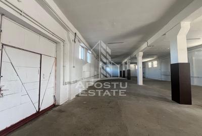Spațiu industrial, de 580 mp, în Șagului - 5