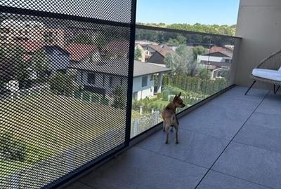 COMPLEX CU PISCINA - British School of Bucharest! COMPLEX CU PISCINA - British School of Bucharest! - 15