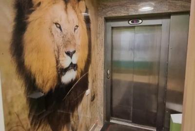 Penthouse cu 5 camere decomandat, mobilat în Central - 22