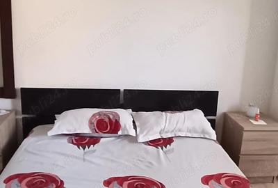 Apartament cu 2 camere semidecomandat în Central - 1