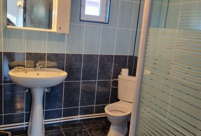 Proprietate generoasa- Casa cu 4 dormitoare si o curte mare - 20