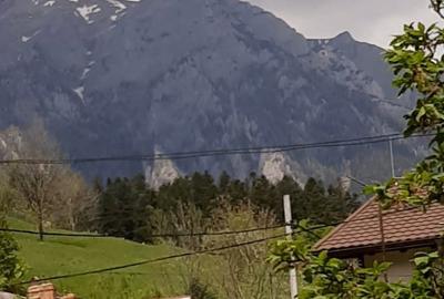 Casă cu 5 camere în Poiana Țapului - 5