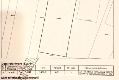 Teren Bazosu Nou, str. Cedrilor, nr. 17, Bucovat, Timis -> 592m2 - 1