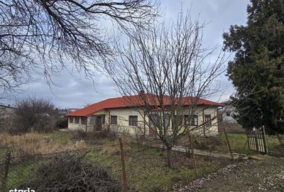 Casă cu 7 camere cu Teren 4500 Mp în Hotarele - 14