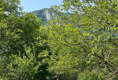 Teren extravilan - Cascada Bigar / Poneasca - 7