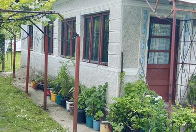 Casă cu 6 camere în Picu - 4