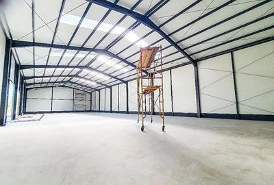 Hale,spatii industriale Albota,Pitesti Arges Hale,spatii industriale Albota,Pitesti Arges - 18