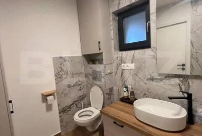 Casa superba Cristian, mobilata si nefolosita - 10