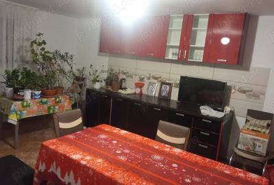 Casă cu Teren 3161 Mp în Central - 9