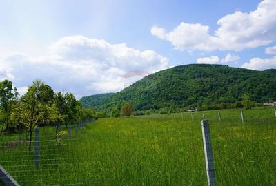 Teren 2,486mp Sighetu Marmatiei / Strada Constantin Dobrogeanu-Gherea - 3