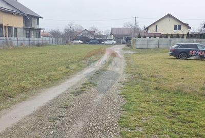 Teren 519mp Dumbrava Rosie / Strada CRANGULUI - 20