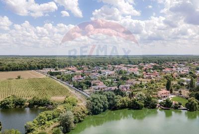 Vila superba Cernica | vedere la padure si lac | finijaj... - 8