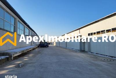 Spațiu comercial, de 1,800 mp, în Xenia - 5