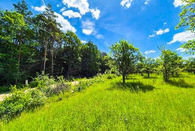 Teren de 9696 mp, în Spiridoni - 8