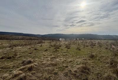 Teren de 802 mp, în Periferie - 4