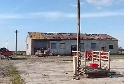 Teren de 16575 mp, în Sintea Mare - 1