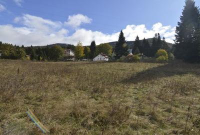 VANZARE TEREN INTRAVILAN SINAIA-CUMPATU Strada Zamora-9.801 mp-Comision 0% - 31