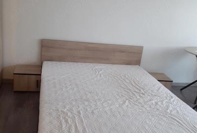 Garsonieră semidecomandată în Traian - 6