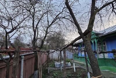 Casă cu 2 camere cu Teren 844 Mp în Brăești - 2