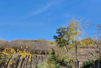 Teren de 1308 mp, în Rediu - 2