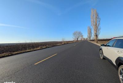 Teren de 10000 mp, în Săucești - 3