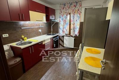 Apartament cu 2 camere semidecomandat, mobilat în Șagului - 4
