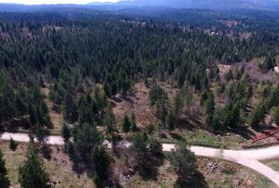 Teren intravilan 3,584mp Calatele Padure - 4