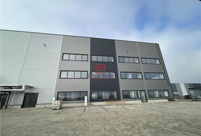 Depozit/hala/spatiu industrial Cernica - A2- A0 -Manolache - 13