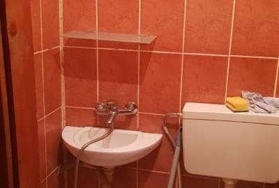 Uscatorie/Garsoniera Calea Aradului (Fagurelui) - 3