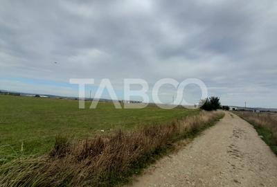 Teren intravilan 2 fronturi de 35 m fiecare 8.000 mp Turnisor Sibiu - 3