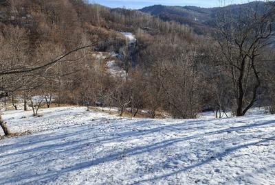 Teren de 2031 mp, în Poiana - 7