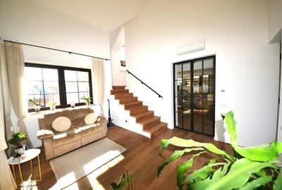 DOMENIU REZIDENȚIAL PRIVAT - Otopeni, Drumul Odaii - 13