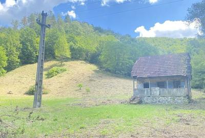 Spațiu comercial, în Ribicioara - 7