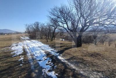 Teren de 2500 mp, în Central - 3